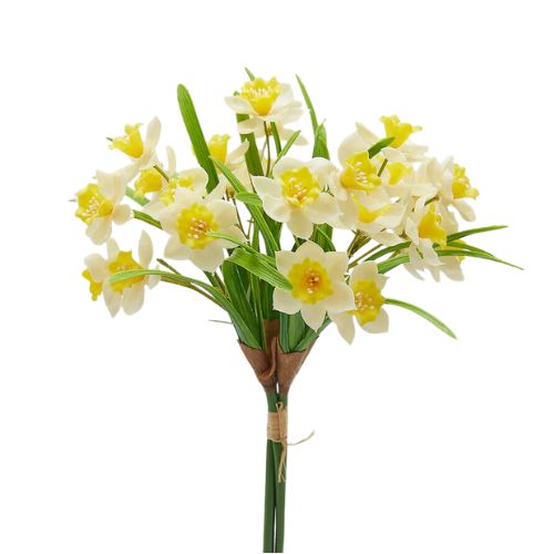 narciso